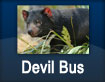 Devil bus - from Legana