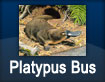 Platypus Bus - to Grindelwald and Acropolis Drive