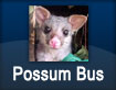 Possum Bus - to Legana
