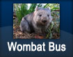 Wombat Bus - to Legana